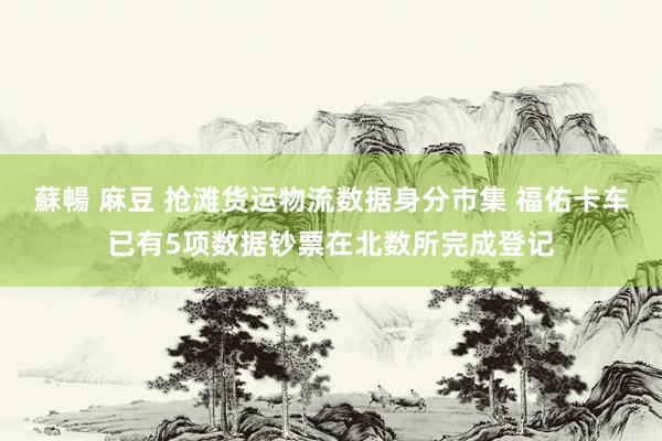 蘇暢 麻豆 抢滩货运物流数据身分市集 福佑卡车已有5项数据钞票在北数所完成登记