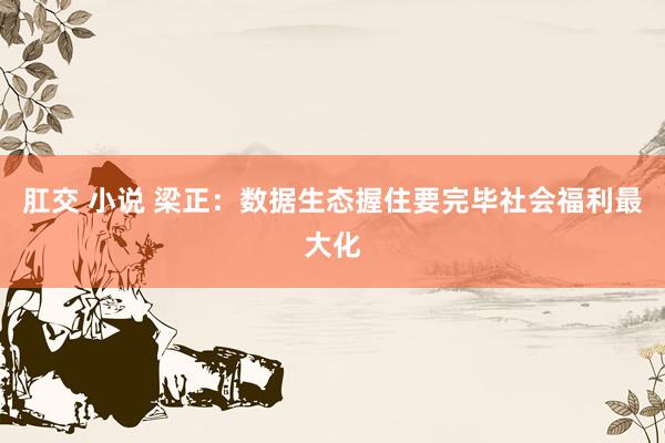肛交 小说 梁正：数据生态握住要完毕社会福利最大化