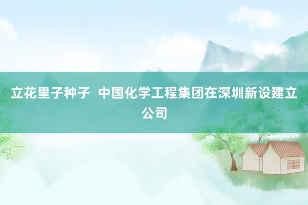 立花里子种子  中国化学工程集团在深圳新设建立公司