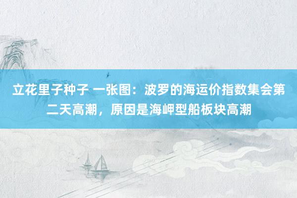 立花里子种子 一张图：波罗的海运价指数集会第二天高潮，原因是海岬型船板块高潮
