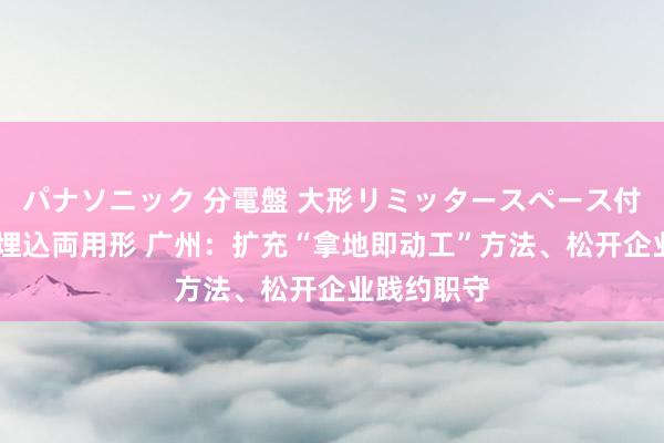 パナソニック 分電盤 大形リミッタースペース付 露出・半埋込両用形 广州：扩充“拿地即动工”方法、松开企业践约职守
