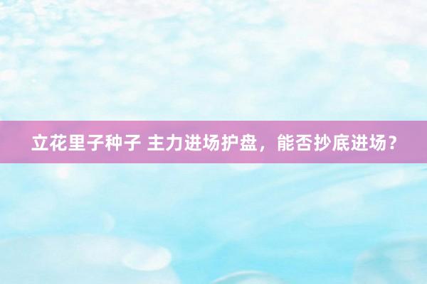立花里子种子 主力进场护盘，能否抄底进场？